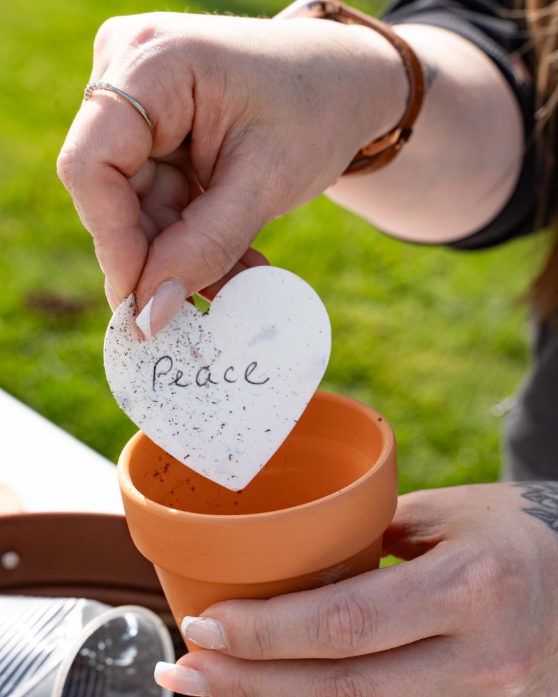 A hand placing a Peace seed paper tag into a small terra cotta pot