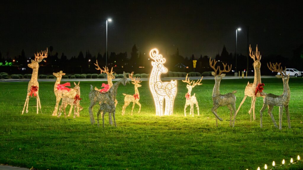A glowing reindeer light display on the church lawn at night